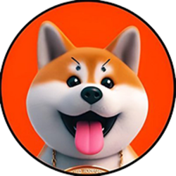 akita-inu-akt