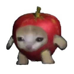 apple-cat-$acat