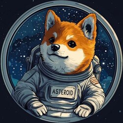 Asteroid Shiba (ASTEROID)