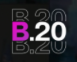 b20-b20