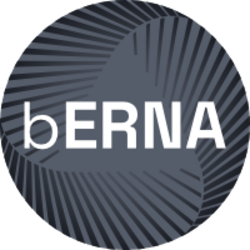 backed-erna-bond-berna