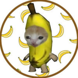 bananacat-bcat