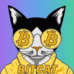 Bitcat (BITCAT)