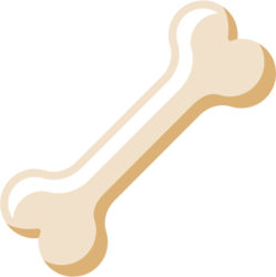 PolyPup Bone (BONE)