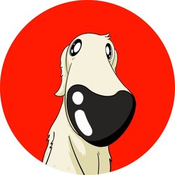 Borzoi Coin (BORZOI)