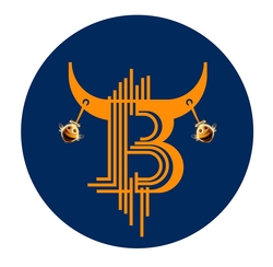 BullcoinBSC (BULL)