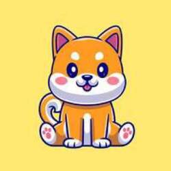 cat-inu-cat