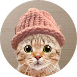 catwifhat-catwif