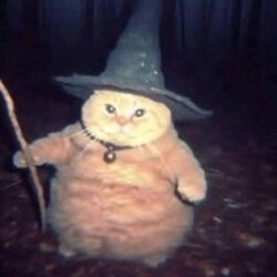 Cheeseball the Wizard (CHEESEBALL)