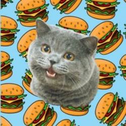 cheezburger-cat-cheez