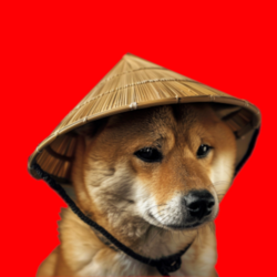 Chinese Doge Wow (CHIDO)