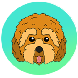 Cockapoo (CPOO)