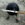 Crow with knife (CAW)