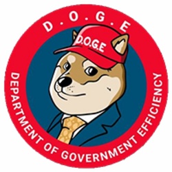 department-of-government-efficiency-doge