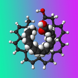 DNA (DNA)