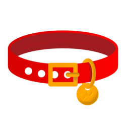 Dog Collar (COLLAR)