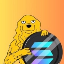 Doogle on Bonk (DOOGLE)