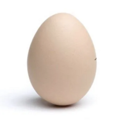 Egg ($EGG)