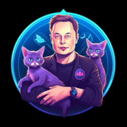 elon-cat-eloncat