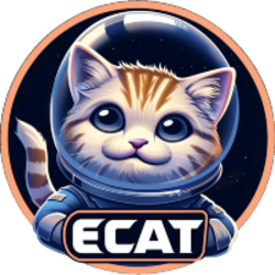 elon-cat-finance-ecat