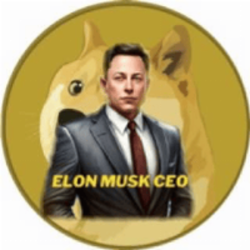 Elon Musk CEO (ELONMUSKCE)