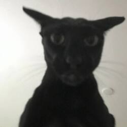 Evil Larry (LARRY)