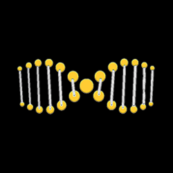 ExtraDNA (XDNA)