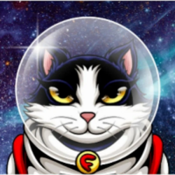 felicette-the-space-cat-felicette