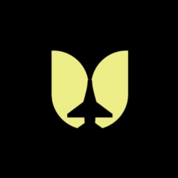 Flying Tulip (FT) Flying Tulip (FT)
