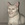 GigaCat (GCAT)