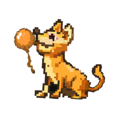 Happy Balloon Dog (HBD)