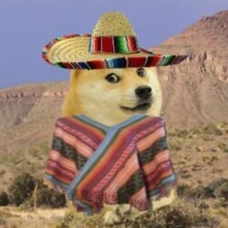 Hispanic doge (DONCHO)