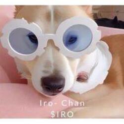 iro-chan-iro