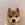 It's just a Dog (DOG)
