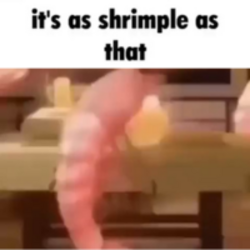 its-as-shrimple-as-that-shrimple