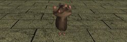 Janro The Rat (JANRO)