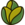 Kalijo (SEED)