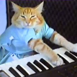 keyboard-cat-keycat