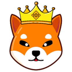 king-shiba-kingshib