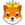 King Shiba (KINGSHIB)