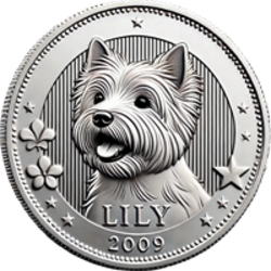 Lily's Coin (LILY)