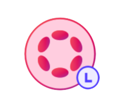 Liquid Staking Dot (LDOT)