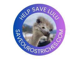 Lulu the Ostrich (LULU)