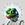 Mind of Pepe (MIND)