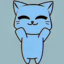 Momo the cat (MOMO)