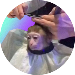 monkeyhaircut-monk