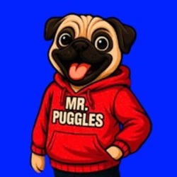 Mr Puggles (PUGGLES)