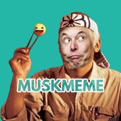 musk-meme-muskmeme