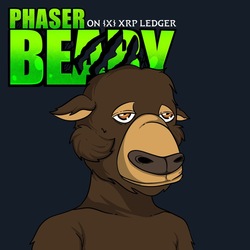 Phaser Beary (PHASER)