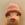 Pig wif hat (PIGWIF)